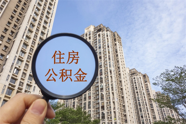 淇县个人公积金去哪儿取（住房公积金个人到哪里提取）